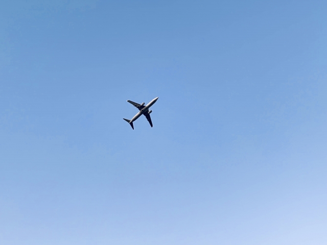 日本からヘルシンキ（直行便のある航空会社